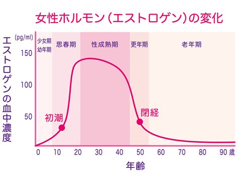 エストロゲン (女性ホルモン）と男性の関わり